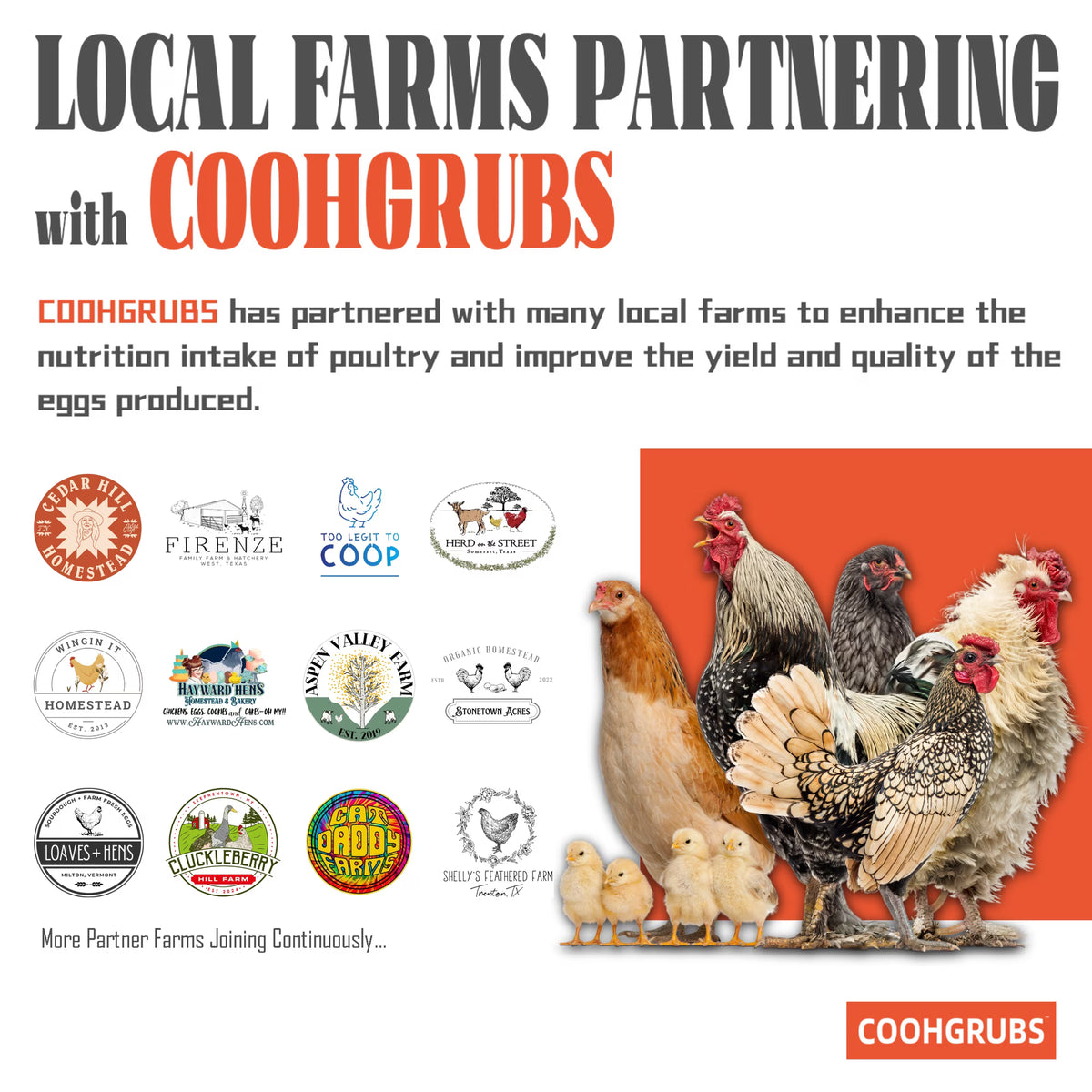 COOHGRUBS Dried Black Soldier Fly Larvae for Chickens, High-Calcium 85X More than Mealworms Bird Treat, 2-lb box