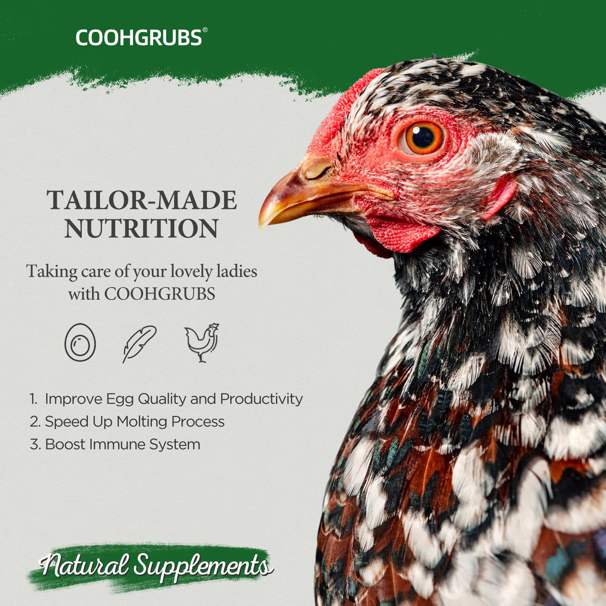 COOHGRUBS 100% Natural Dried Mealworms, Non-GMO Meal Worms for Chickens, Ducks & Wild Birds, High Protein Chicken Treats & Bird Food, 2-lb Box