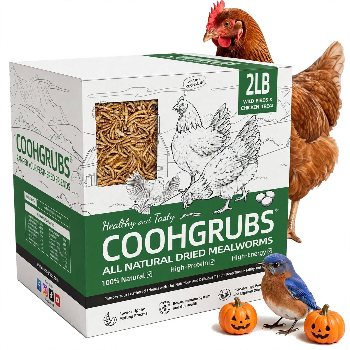 COOHGRUBS 100% Natural Dried Mealworms, Non-GMO Meal Worms for Chickens, Ducks & Wild Birds, High Protein Chicken Treats & Bird Food, 2-lb Box