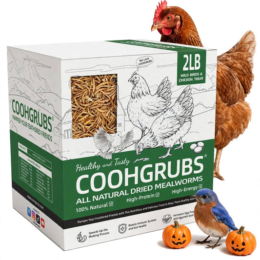 COOHGRUBS 100% Natural Dried Mealworms, Non-GMO Meal Worms for Chickens, Ducks & Wild Birds, High Protein Chicken Treats & Bird Food, 2-lb Box