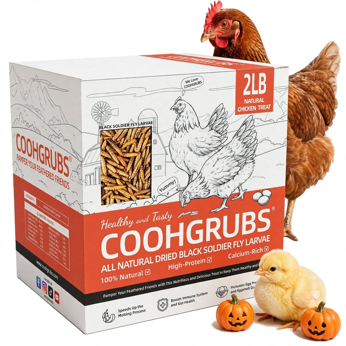 COOHGRUBS Dried Black Soldier Fly Larvae for Chickens, High-Calcium 85X More than Mealworms Bird Treat, 2-lb box