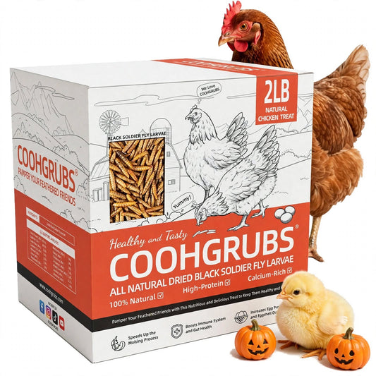 COOHGRUBS Dried Black Soldier Fly Larvae for Chickens, High-Calcium 85X More than Mealworms Bird Treat, 2-lb box