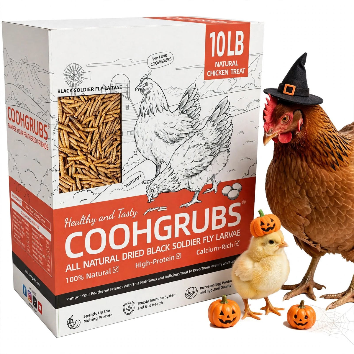 COOHGRUBS Dried Black Soldier Fly Larvae for Chickens, High-Calcium 85X More than Mealworms Bird Treat, 10-lb box