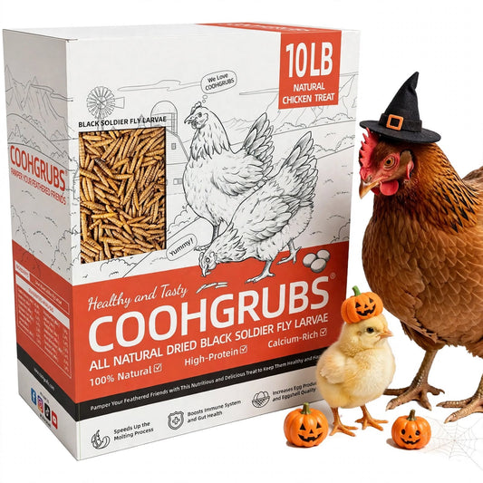 COOHGRUBS Dried Black Soldier Fly Larvae for Chickens, High-Calcium 85X More than Mealworms Bird Treat, 10-lb box