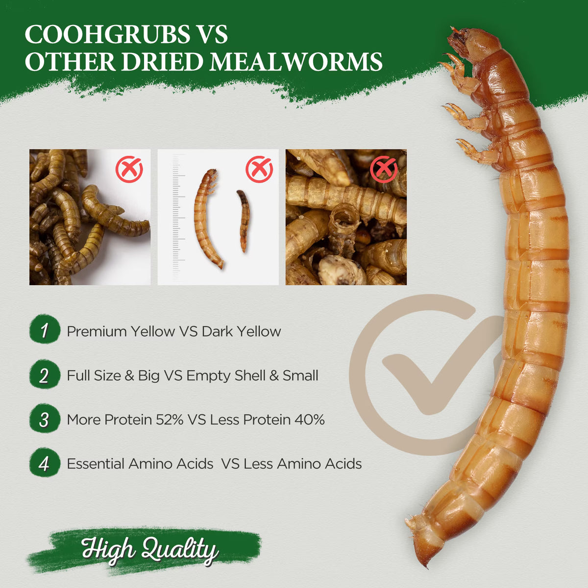 COOHGRUBS 100% Natural Dried Mealworms, Non-GMO Meal Worms for Chickens, Ducks & Wild Birds, High Protein Chicken Treats & Bird Food, 2-lb Box