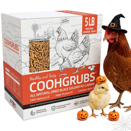 COOHGRUBS Dried Black Soldier Fly Larvae for Chickens, High-Calcium 85X More than Mealworms Bird Treat, 5-lb Box