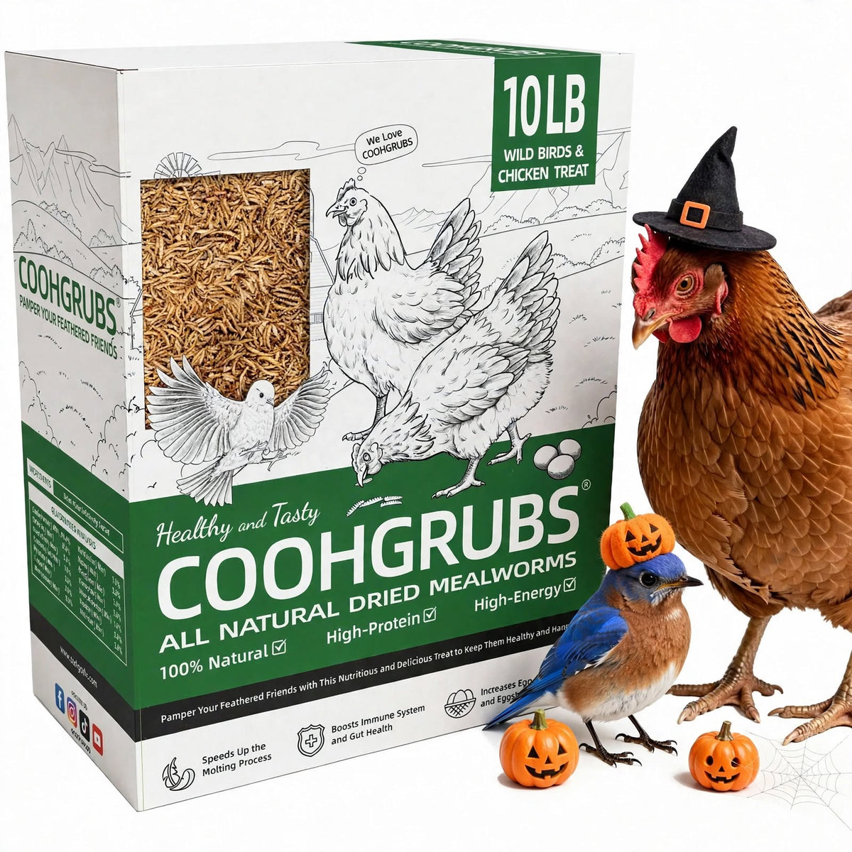 COOHGRUBS 100% Natural Dried Mealworms, Non-GMO Meal Worms for Chickens, Ducks & Wild Birds, High Protein Chicken Treats & Bird Food, 10-lb Box