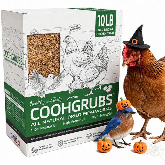 COOHGRUBS 100% Natural Dried Mealworms, Non-GMO Meal Worms for Chickens, Ducks & Wild Birds, High Protein Chicken Treats & Bird Food, 10-lb Box