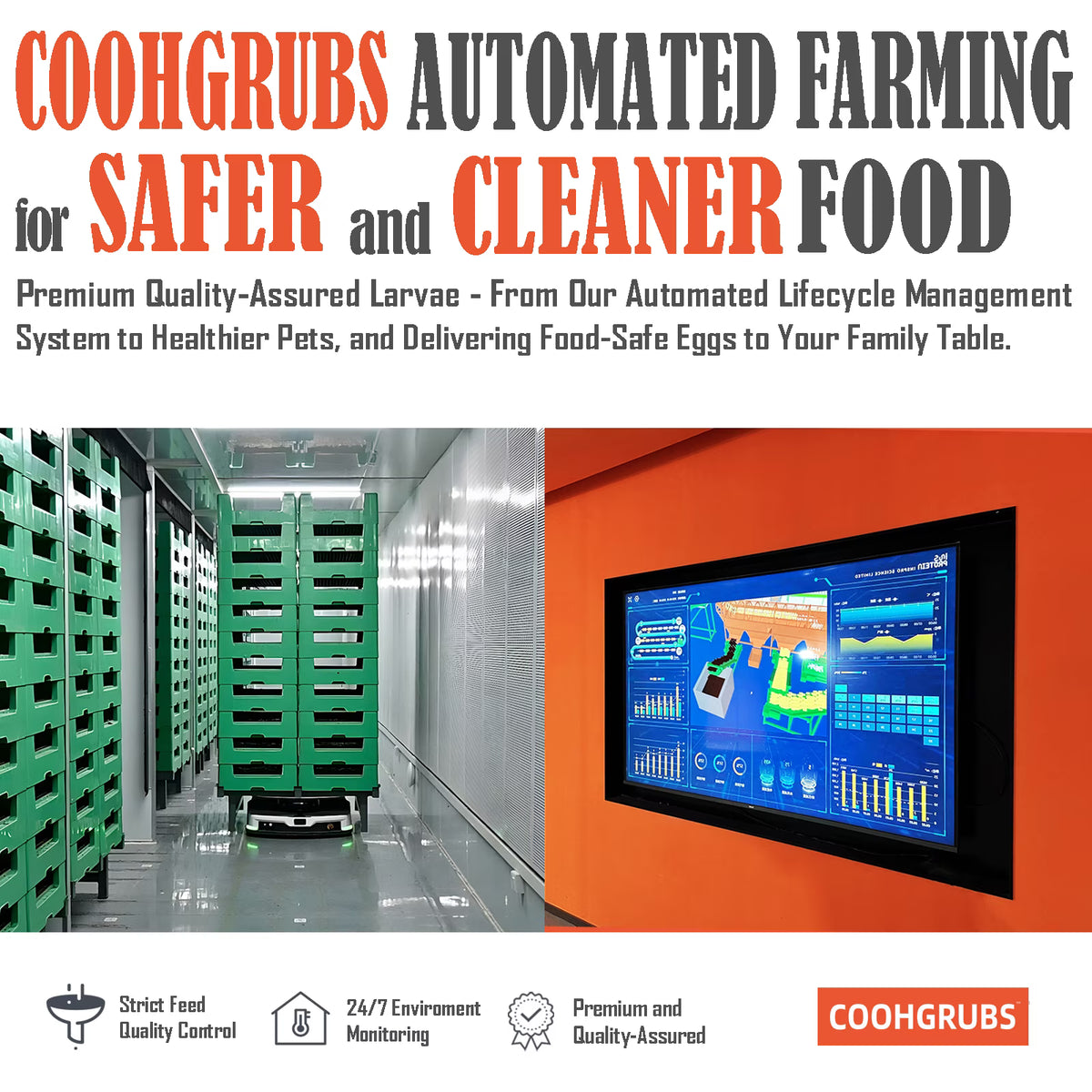 COOHGRUBS Dried Black Soldier Fly Larvae for Chickens, High-Calcium 85X More than Mealworms Bird Treat, 5-lb Box