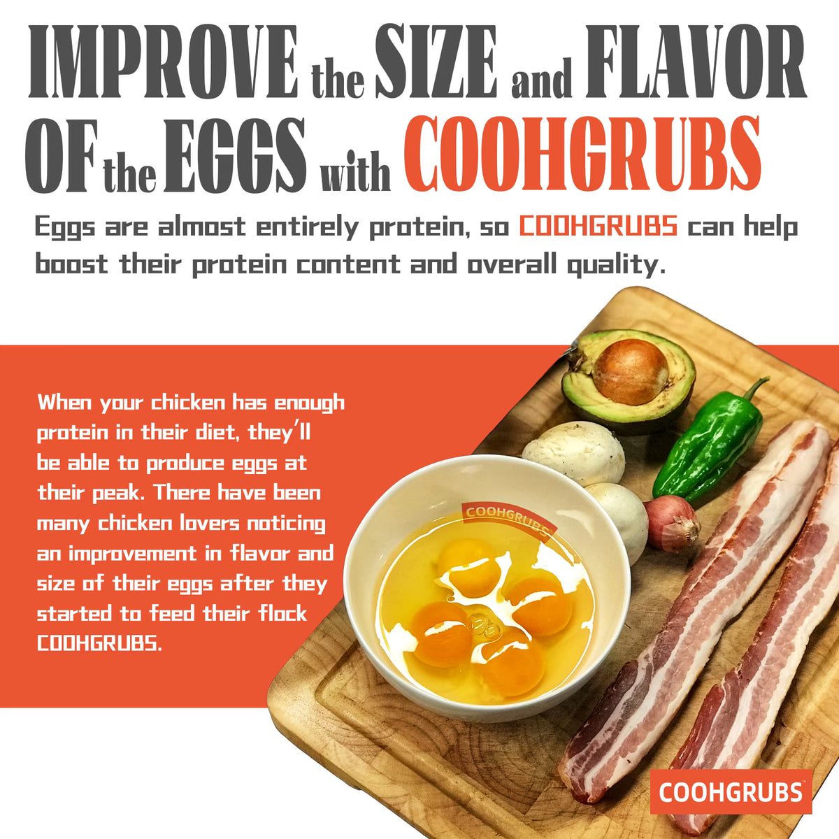 COOHGRUBS Dried Black Soldier Fly Larvae for Chickens, High-Calcium 85X More than Mealworms Bird Treat, 5-lb Box