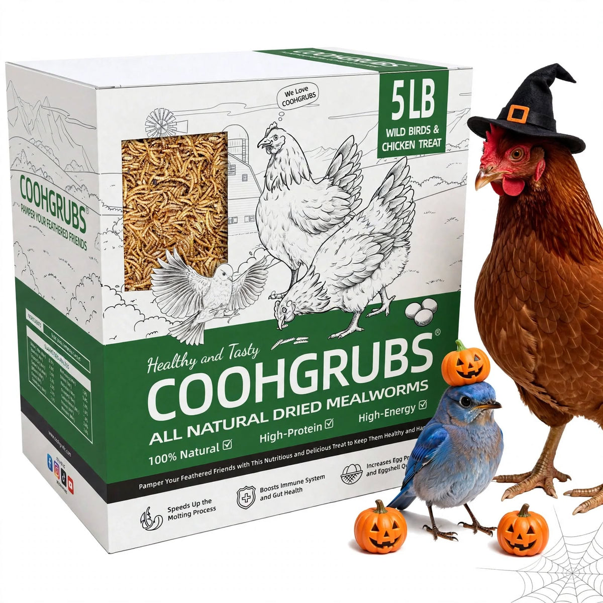 COOHGRUBS 100% Natural Dried Mealworms, Non-GMO Meal Worms for Chickens, Ducks & Wild Birds, High Protein Chicken Treats & Bird Food, 5-lb Box